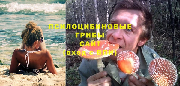 PSILOCYBIN Алзамай